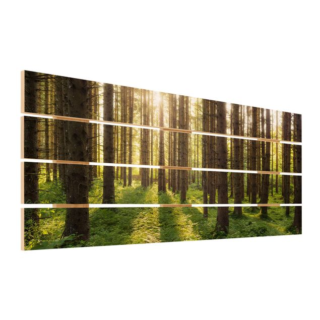 Prints på træ Sun Rays In Green Forest