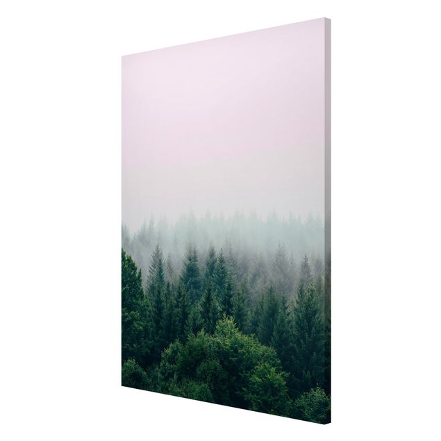 Billeder landskaber Foggy Forest Twilight