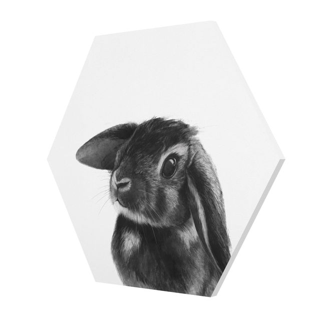 Billeder Laura Graves Art Illustration Rabbit Black And White Drawing