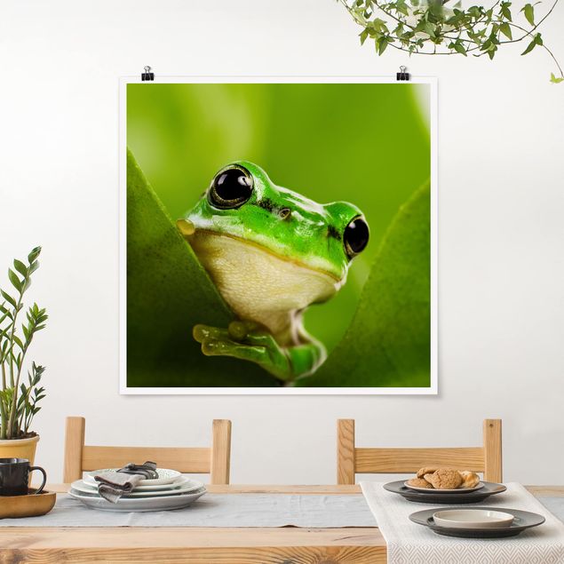 Plakater blomster Frog