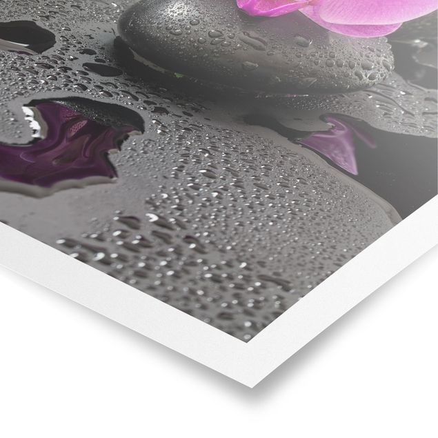 Plakater kunsttryk Pink Orchid Flower On Stones With Drops
