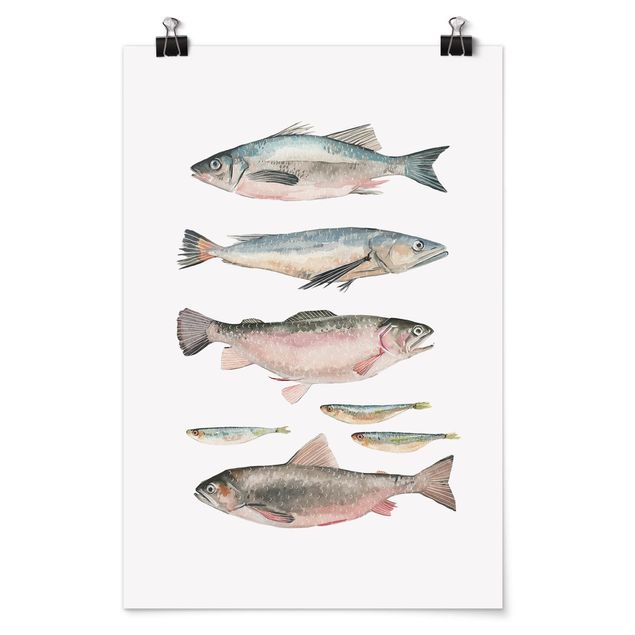 Billeder moderne Seven Fish In Watercolour I