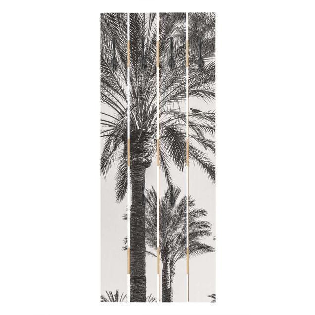 Billeder Uwe Merkel Palm Trees At Sunset Black And White