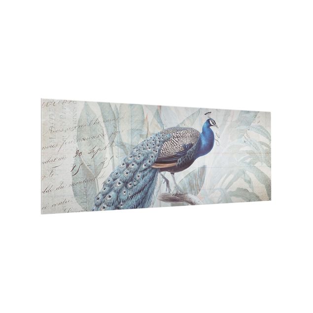 Stænkplader glas Shabby Chic Collage - Peacock