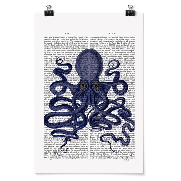 Billeder ordsprog Animal Reading - Octopus