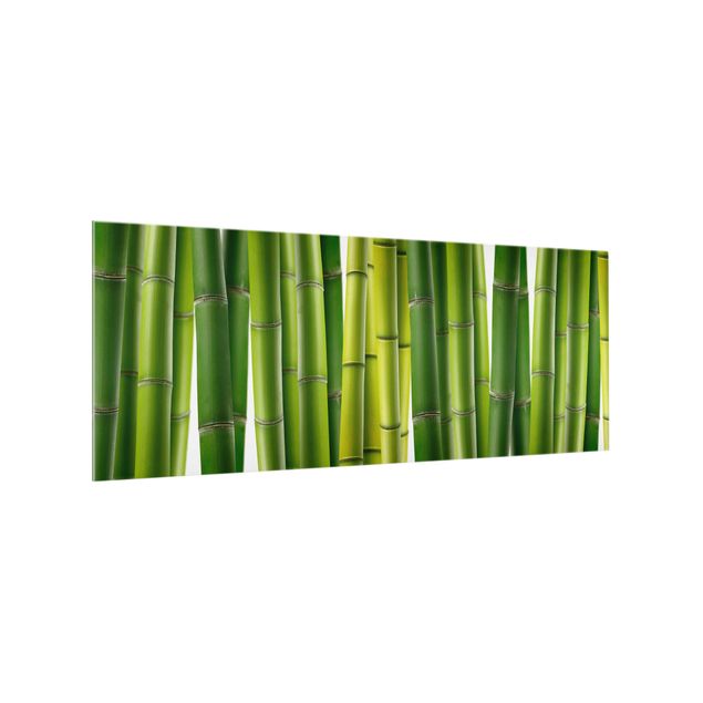 Stænkplader glas Bamboo Plants