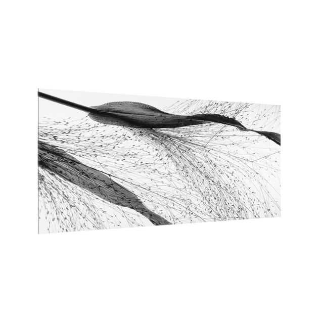 Stænkplader glas Delicate Reed With Subtle Buds Black And White