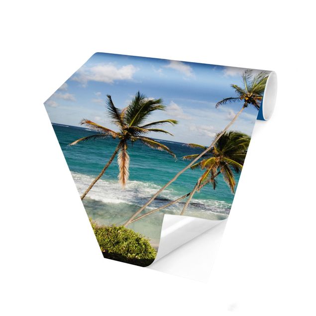 Fototapet landskaber Beach Of Barbados
