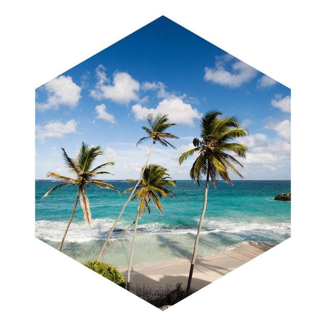 Blåt tapet Beach Of Barbados