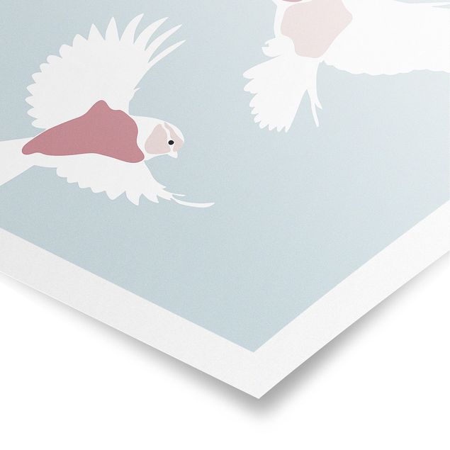 Billeder kunsttryk Line Art Pigeons Pastel