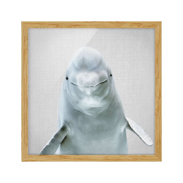 Indrammede plakater dyr Beluga Whale Bob
