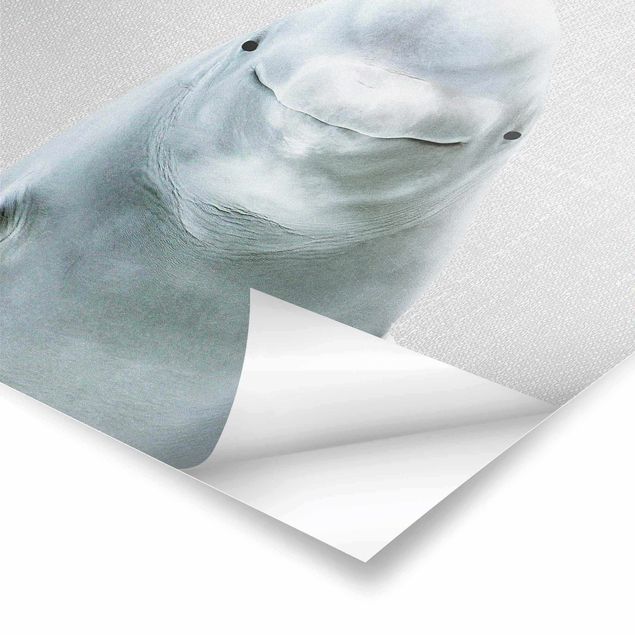 Billeder Gal Design Beluga Whale Bob