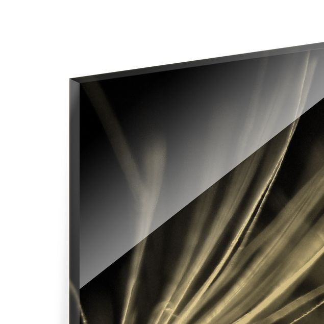 Glasbilleder sort og hvid Moving Dandelions Close Up On Black Background