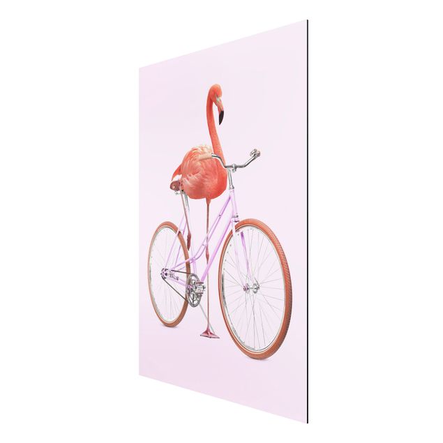 Billeder sport Flamingo With Bicycle