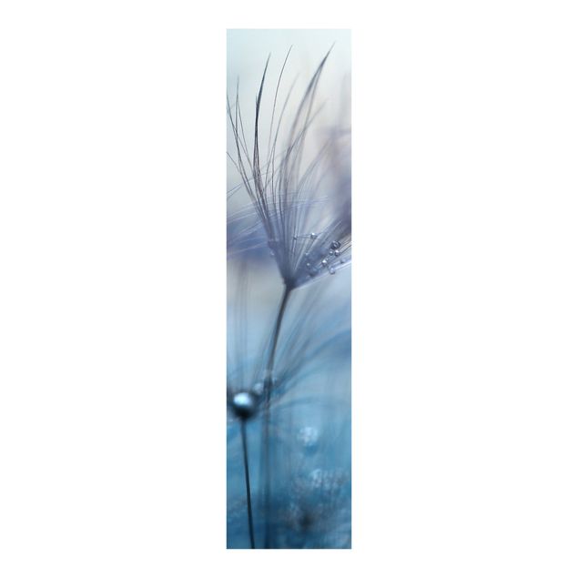 Panelgardiner blomster Blue Feathers In The Rain