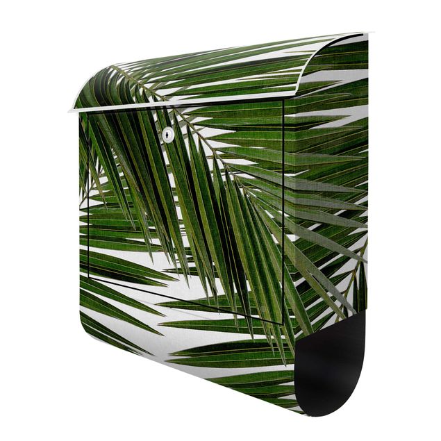 Postkasser grøn View Through Green Palm Leaves