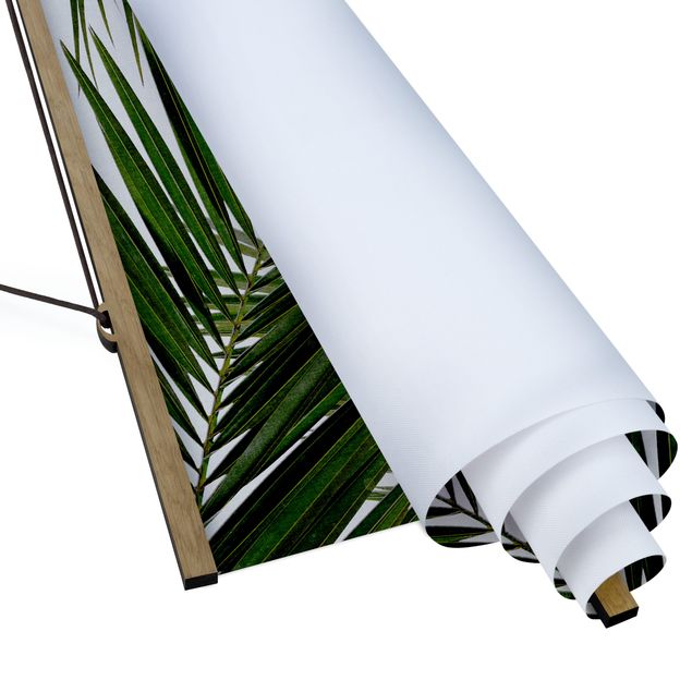 Billeder kunsttryk View Through Green Palm Leaves