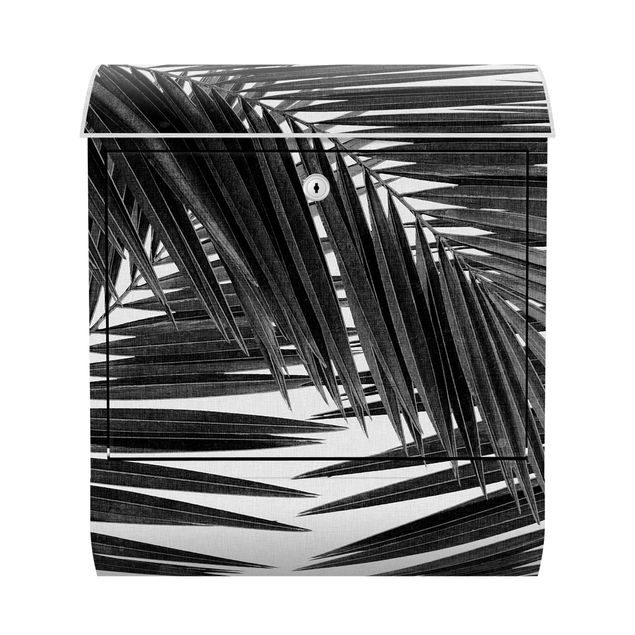 Postkasser sort og hvid View Through Palm Leaves Black And White