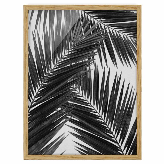 Indrammede plakater sort og hvid View Through Palm Leaves Black And White