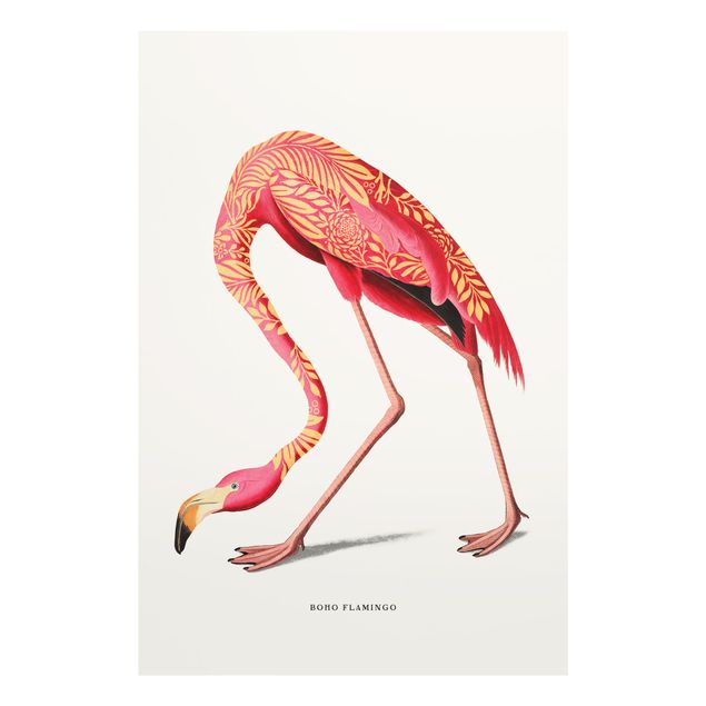 Billeder Boho Birds - Flamingo