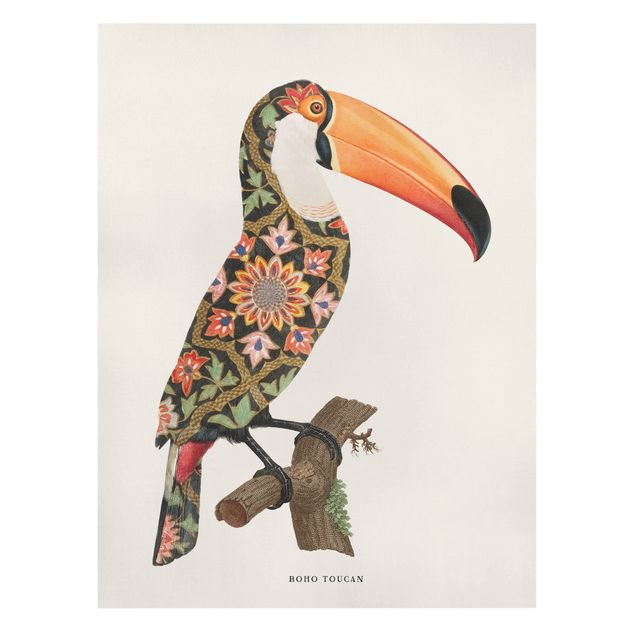 Billeder farvet Boho Birds - Toucan