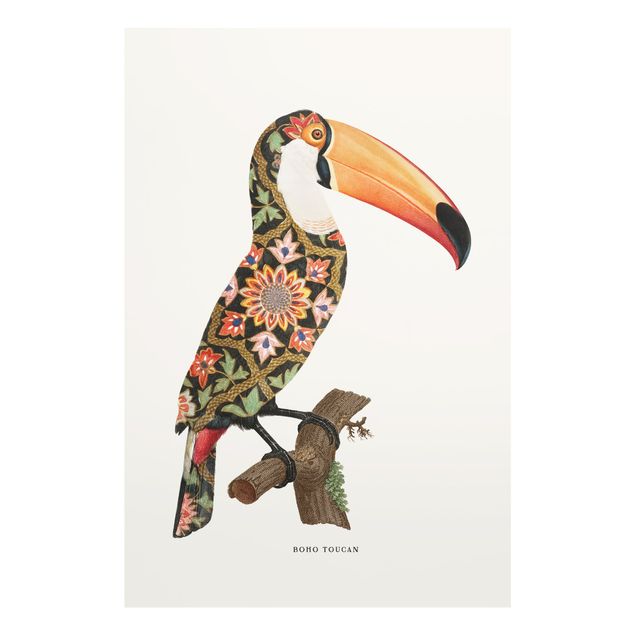 Billeder Jonas Loose Boho Birds - Toucan