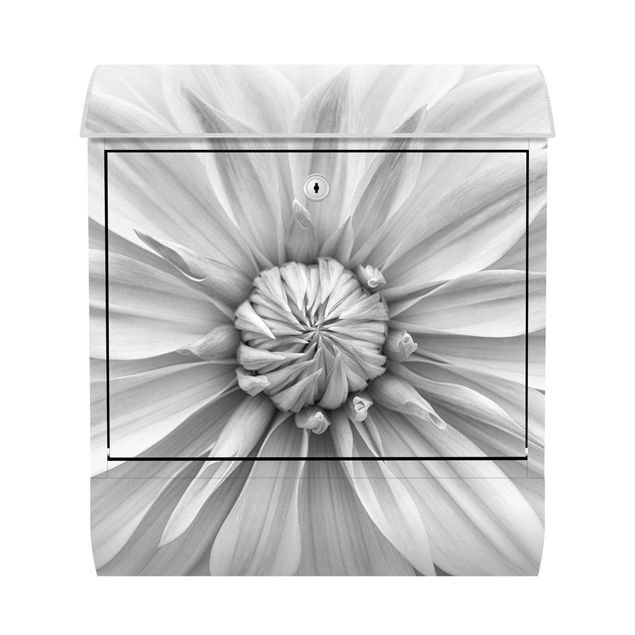 Postkasser sort og hvid Botanical Blossom In White