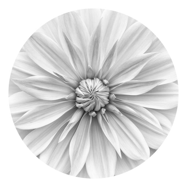 Fototapet sort og hvid Botanical Blossom In White