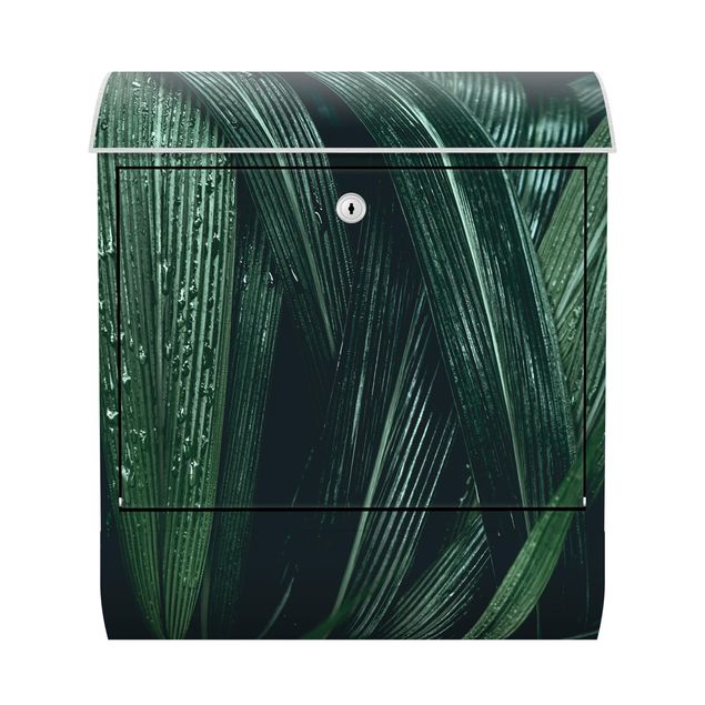Postkasser grøn Green Palm Leaves