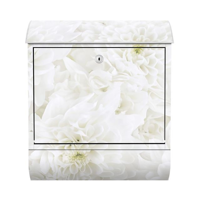 Postkasser Dahlias Sea Of Flowers White