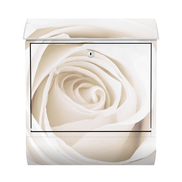 Postkasser Pretty White Rose