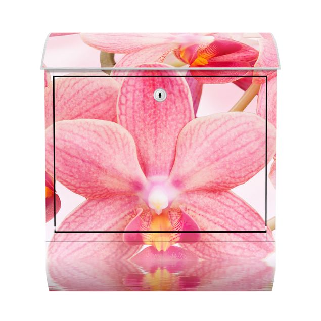 Postkasser lyserød Light Pink Orchid On Water