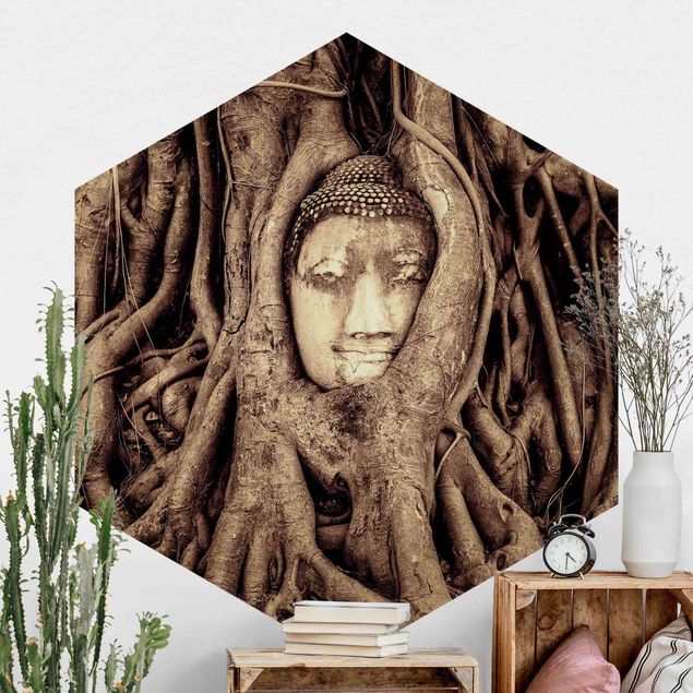 køkken dekorationer Buddha In Ayutthaya Lined With Tree Roots In Brown