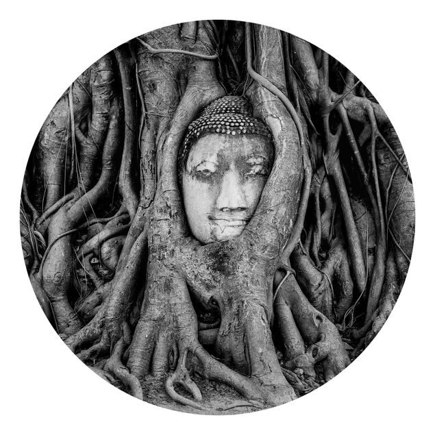 Fototapet sort og hvid Buddha In Ayutthaya Lined From Tree Roots In Black And White