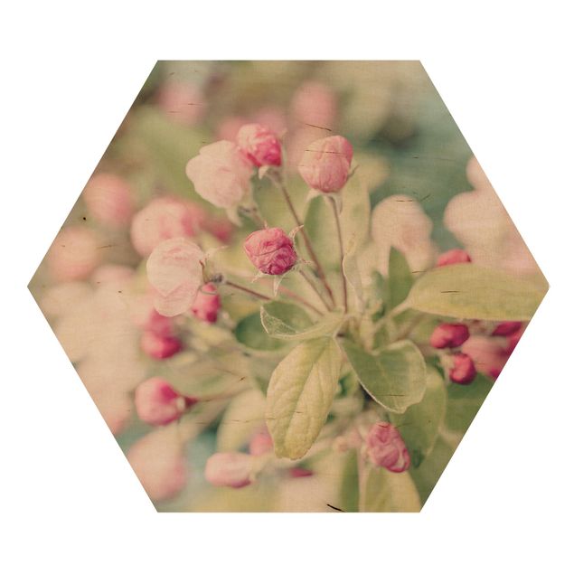 Billeder lyserød Apple Blossom Pink Bokeh