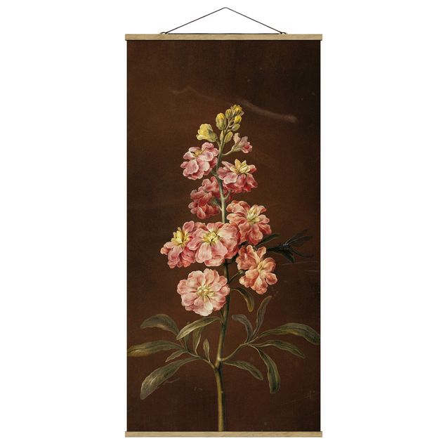 Billeder blomster Barbara Regina Dietzsch - A Light Pink Gillyflower