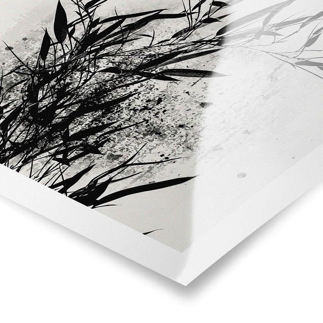 Plakater sort og hvid Graphical Plant World - Black Bamboo