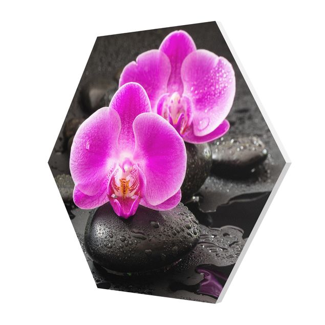 Forex Pink Orchid Flowers On Stones With Drops