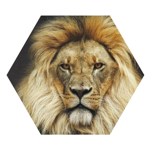 Forex Wisdom Of Lion