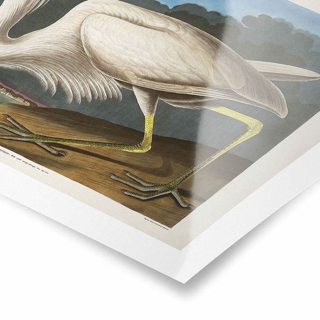Billeder Vintage Board Great White Egret