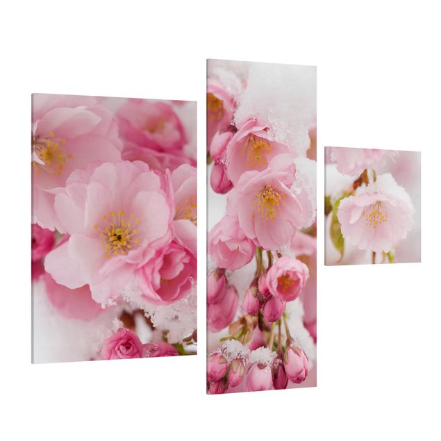 Billeder på lærred blomster Snow-Covered Cherry Blossoms