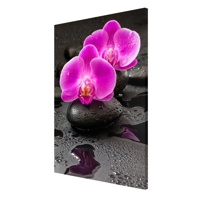 Magnettavler blomster Pink Orchid Flower On Stones With Drops