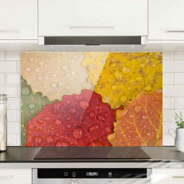 køkken dekorationer Water Drops On Colorful Leaves