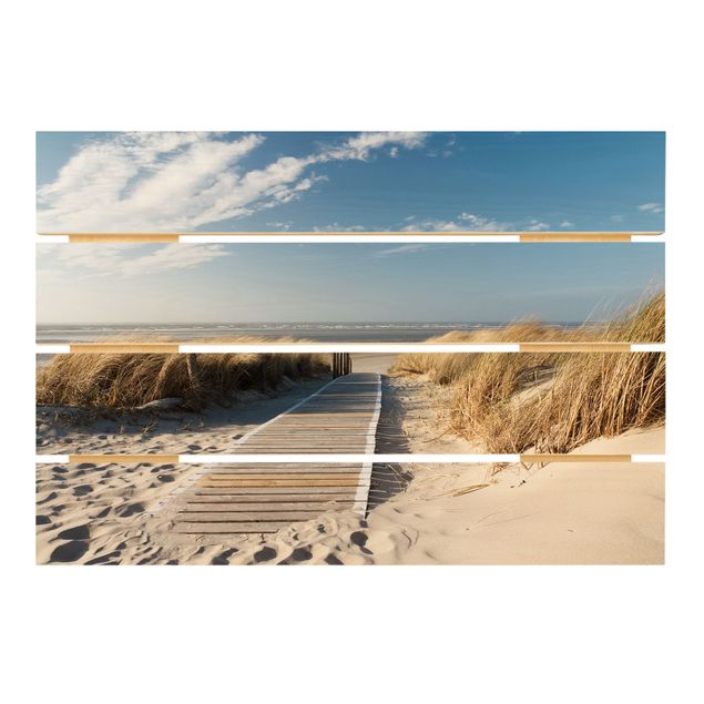 Billeder Baltic Sea Beach