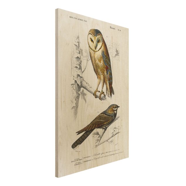 køkken dekorationer Vintage Board Owl And Swallow