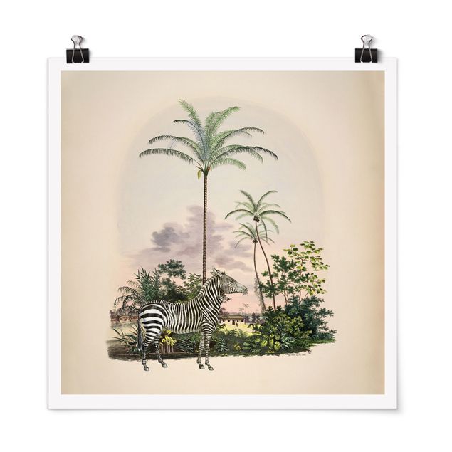 Plakater kunsttryk Zebra Front Of Palm Trees Illustration