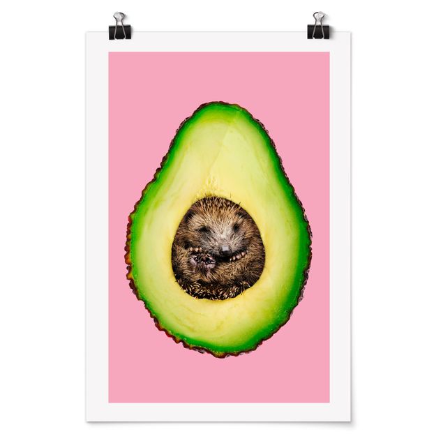 Plakater dyr Avocado With Hedgehog