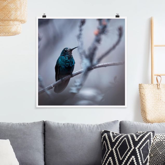 Plakater dyr Hummingbird In Winter