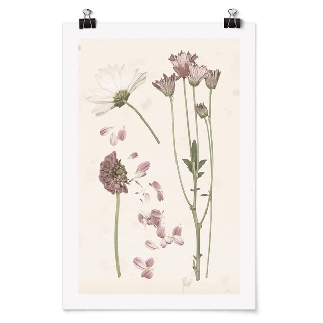 Billeder blomster Herbarium In Pink II