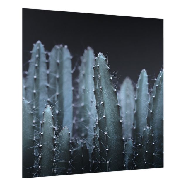 Stænkplader glas Desert Cactus At Night